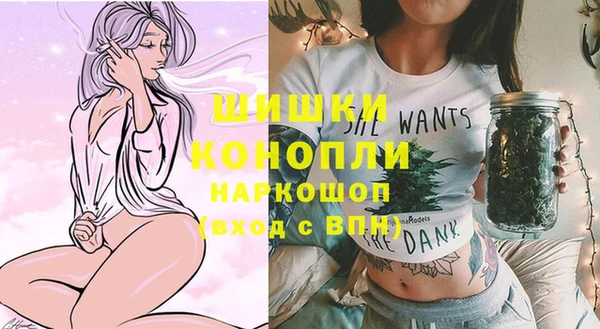 ПСИЛОЦИБИНОВЫЕ ГРИБЫ Верея